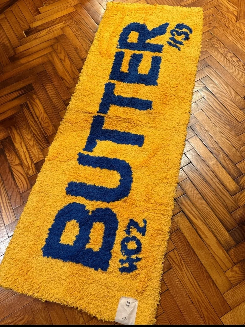 Urban Outfitters Butter Tufted Shag Rug 2X6